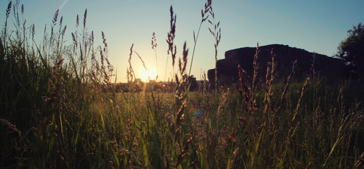 landfill sunset