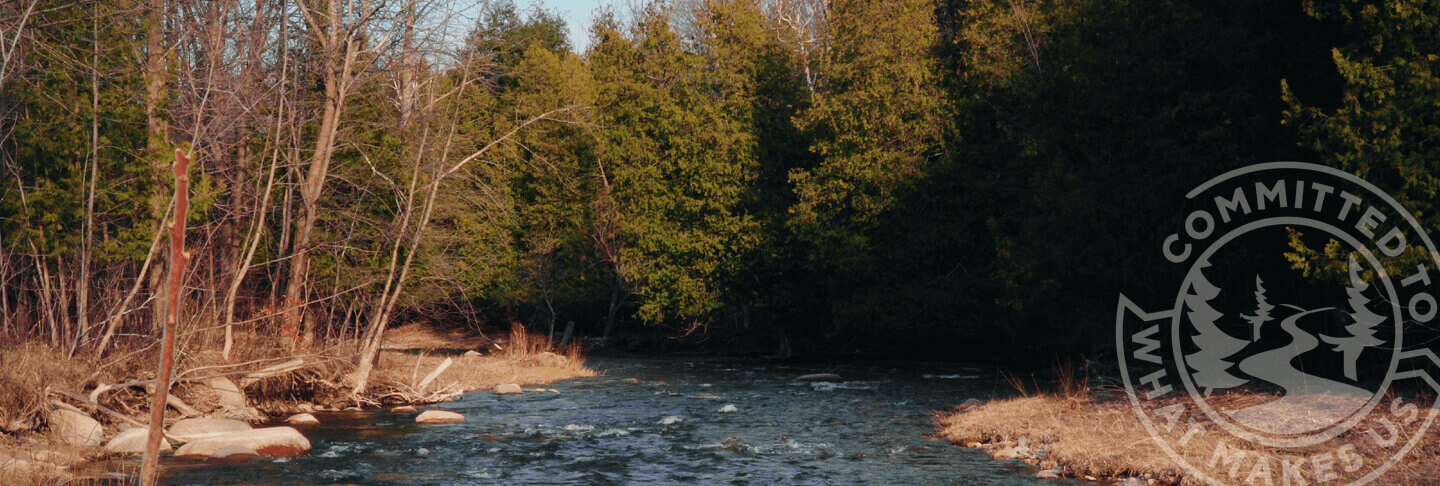 river with trees