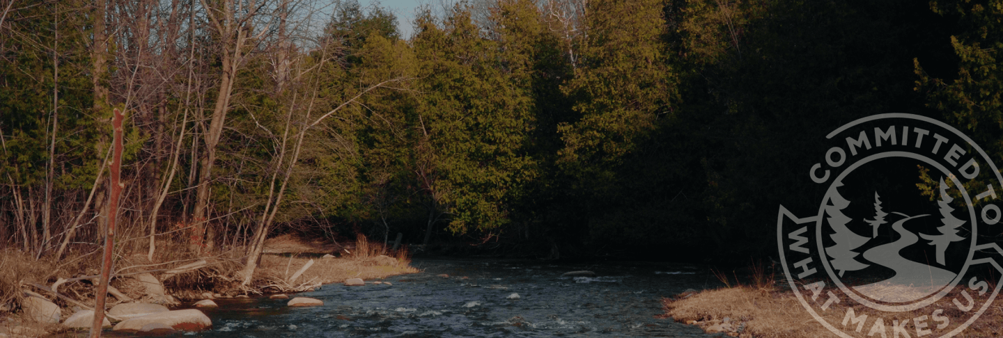 river with trees